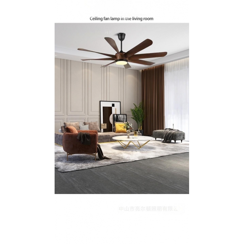 Ceiling fan light