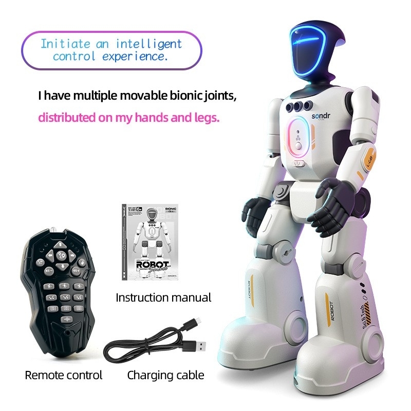 Intelligent interactive programming companion voice robot