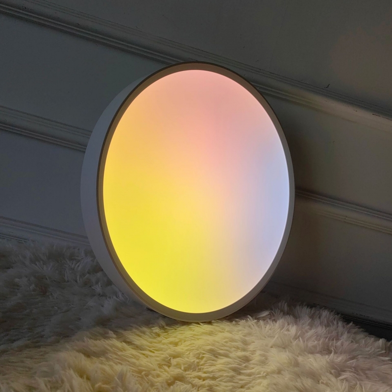 LED ceiling mirror light