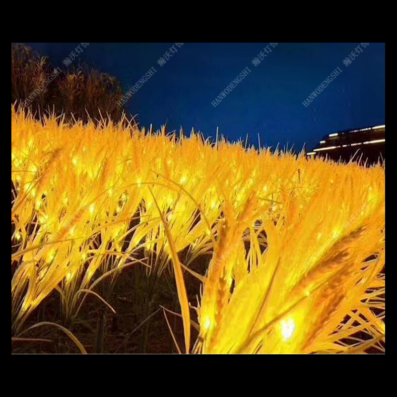 Solar wheat light;