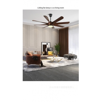 Ceiling fan light