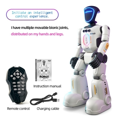 Intelligent interactive programming companion voice robot