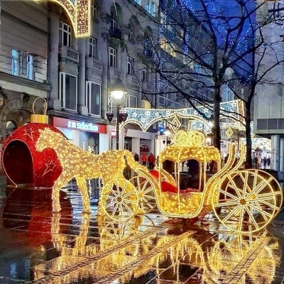 LED Christmas shape light