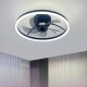 LED fan light