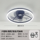 LED fan light