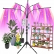 LED plant growth light