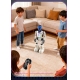 Intelligent interactive programming companion voice robot