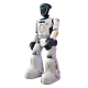 Intelligent interactive programming companion voice robot