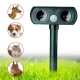 Solar animal repeller