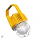 LED explosion-proof light