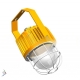 LED explosion-proof light