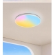 LED ceiling mirror light